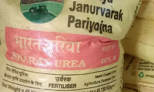 यूरिया खाद की कमी: किसान संकट में