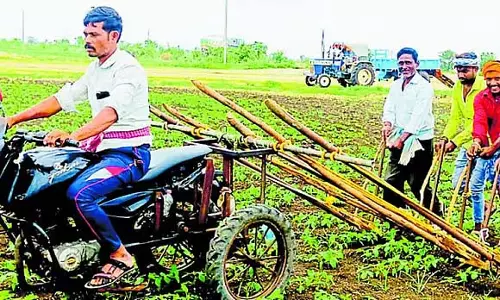 NREGAAL : बैलों की कमी दूर करने के लिए किसान बाइक का इस्तेमाल कर रहे NREGAAL : बैलों की कमी दूर करने के लिए किसान बाइक का इस्तेमाल कर रहे