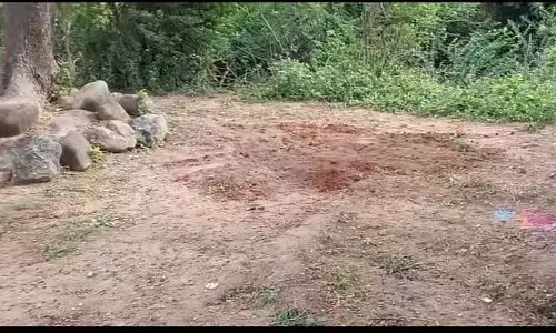Wadgera : खजाना चोरों के आतंक से ग्रामीणों की नींद हराम