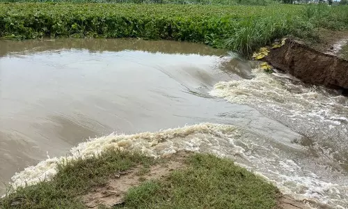 Haryana : दादुपुर-नलवी नहर टूटने से यमुनानगर के खेतों में पानी भर गया Haryana : दादुपुर-नलवी नहर टूटने से यमुनानगर के खेतों में पानी भर गया