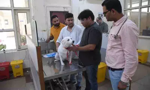 बिजली संकट के कारण Panchkula के पालतू पशु अस्पताल में जांच सेवाएं बाधित बिजली संकट के कारण Panchkula के पालतू पशु अस्पताल में जांच सेवाएं बाधित