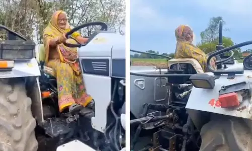 80 की उम्र में दादी ने चलाया ऐसा ट्रैक्टर, VIDEO देख हैरान हुए लोग