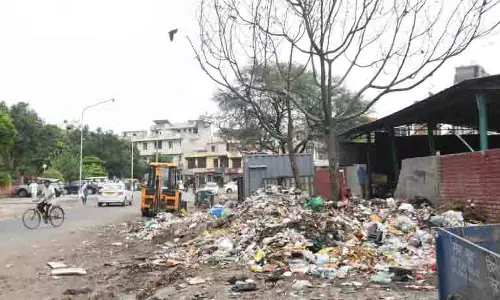 Mohali में सड़क किनारे कूड़ा फेंकने की समस्या का स्थायी समाधान मांगा गया