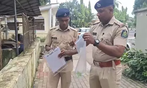 Caranzalem के टोन्का ग्रीन एकर्स हॉल में एक और भांग का पौधा पाया गया Caranzalem के टोन्का ग्रीन एकर्स हॉल में एक और भांग का पौधा पाया गया