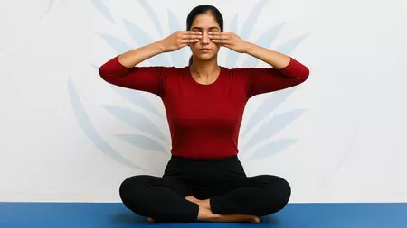रोज करें ये 4 प्राणायाम, रहेंगे स्वस्थ और चुस्त दुरुस्त रोज करें ये 4 प्राणायाम, रहेंगे स्वस्थ और चुस्त दुरुस्त