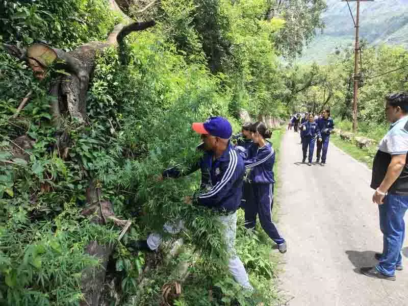 समस्या का मूल समाधान, Sunni समुदाय में भांग विरोधी पहल को बल मिला समस्या का मूल समाधान, Sunni समुदाय में भांग विरोधी पहल को बल मिला