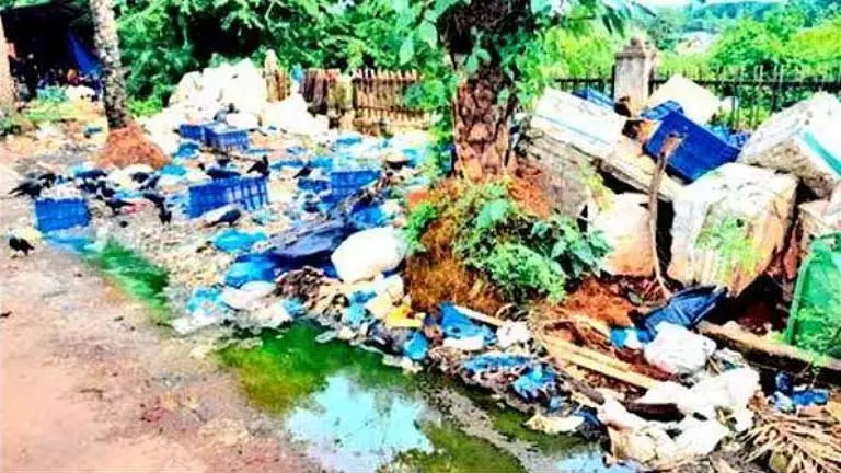 SGPDA ने खुदरा बाजार में कचरा संकट को लेकर मडगांव नगर परिषद की आलोचना की SGPDA ने खुदरा बाजार में कचरा संकट को लेकर मडगांव नगर परिषद की आलोचना की