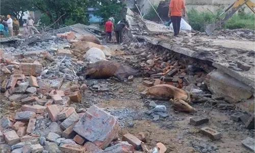 Punjab: बड़ा हादसा, 35 गायों की मौत,मचा हड़कंप