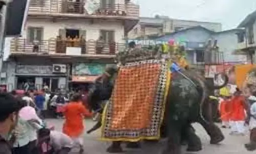 Ahmedabad: जगन्नाथ रथ यात्रा के दौरान हाथी बेकाबू हुआ, भागने लगे लोग Ahmedabad: जगन्नाथ रथ यात्रा के दौरान हाथी बेकाबू हुआ, भागने लगे लोग