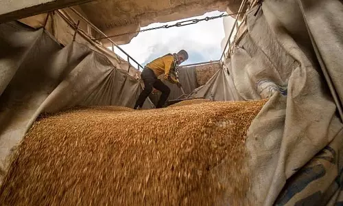 सीरिया का गेहूं युद्ध: सूखा बना 16 मिलियन लोगों के लिए खाद्य संकट
