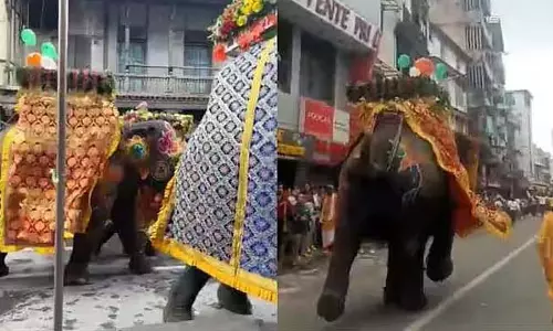 जगन्नाथ रथ यात्रा के दौरान हाथी ने नियंत्रण खो दिया और बेकाबू होकर भागा, कई लोग घायल
