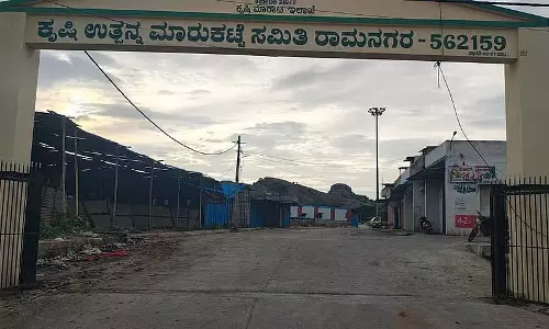 Karnataka : आम उत्पादकों को नहीं मिल रहा समर्थन मूल्य