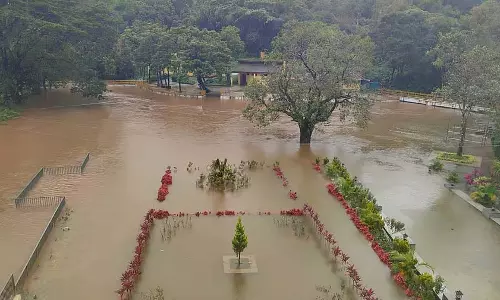 मूसलाधार बारिश: नदियां और नाले उफान पर