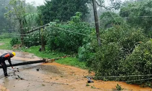 बारिश-हवा: 5,601 बिजली के खंभे क्षतिग्रस्त, CESC को भारी नुकसान