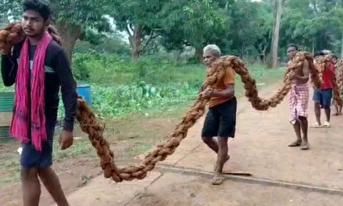 सियाली रस्सियों से नंदीघोष का मार्गदर्शन