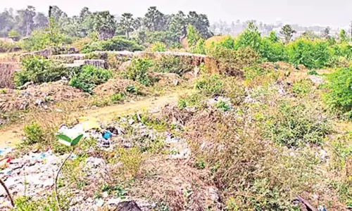 Andhra : श्रीकाकुलम में पॉलीथीन उद्योग अमेरिकी टीम ने किया जमीनों का निरीक्षण