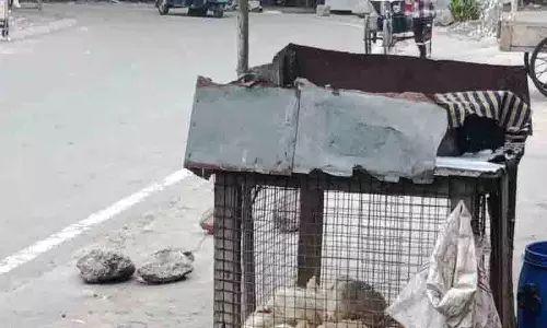 Ludhiana शहर में अवैध कटान बेरोकटोक जारी Ludhiana शहर में अवैध कटान बेरोकटोक जारी