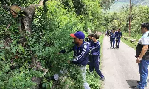 समस्या का मूल समाधान, Sunni समुदाय में भांग विरोधी पहल को बल मिला