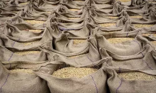भारत में चावल का भंडार भरा हुआ है, क्योंकि एक और रिकॉर्ड फसल आने वाली है