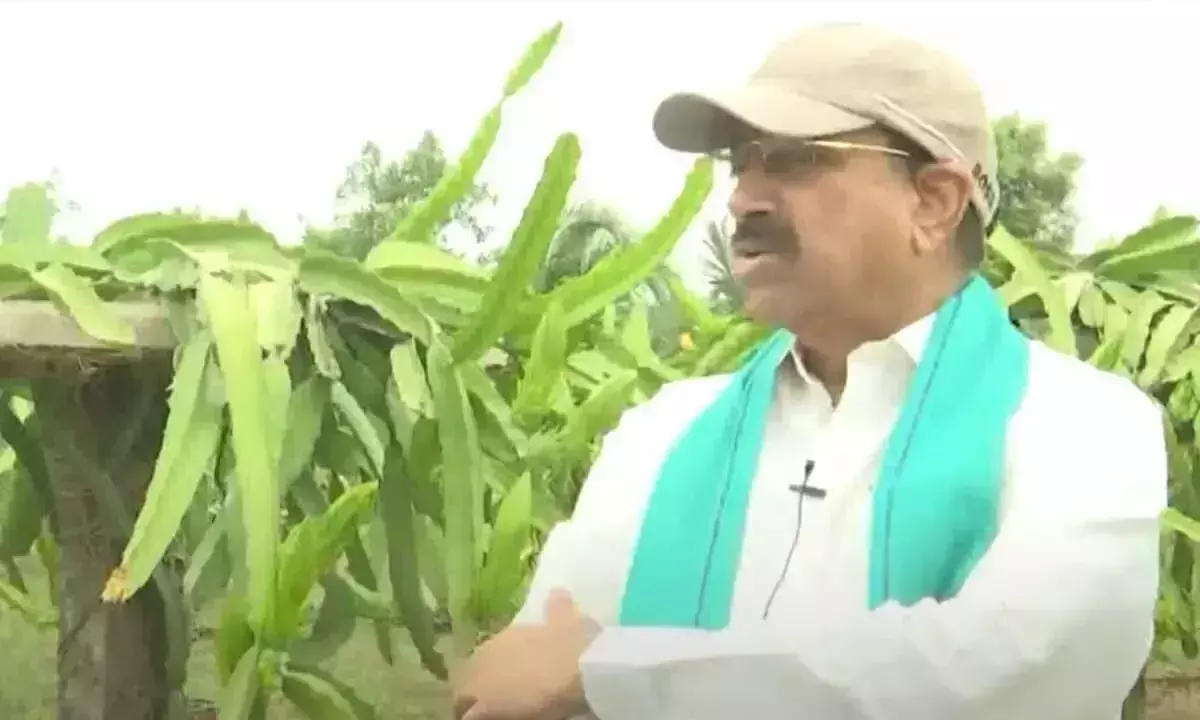 Telangana: तुम्मला नागेश्वर राव ने बिना किसी असफलता के रायथु भरोसा के कार्यान्वयन का आश्वासन दिया Telangana: तुम्मला नागेश्वर राव ने बिना किसी असफलता के रायथु भरोसा के कार्यान्वयन का आश्वासन दिया