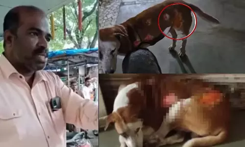 Mumbai : एक चायवाले ने स्ट्रीट डॉग को बेरहमी से जला दिया