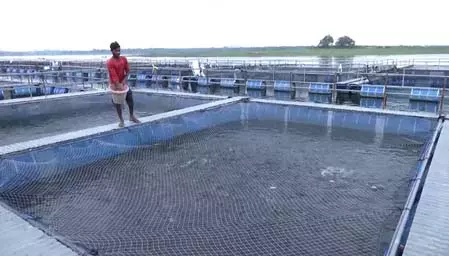 झारखंड : तिलैया जलाशय में मछली पालन बना रोजगार का नया जरिया झारखंड : तिलैया जलाशय में मछली पालन बना रोजगार का नया जरिया
