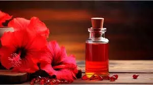 How To Make Hibiscus Oil For Hair: गुड़हल के फूलों से ऐसे तैयार करें तेल, बालों का झड़ना और सफेद होना होगा कम How To Make Hibiscus Oil For Hair: गुड़हल के फूलों से ऐसे तैयार करें तेल, बालों का झड़ना और सफेद होना होगा कम