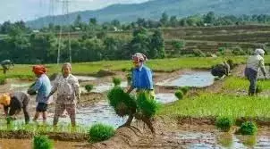 Telangana: रायतु भरोसा, बारिश से कृषि गतिविधियों को बढ़ावा मिला Telangana: रायतु भरोसा, बारिश से कृषि गतिविधियों को बढ़ावा मिला