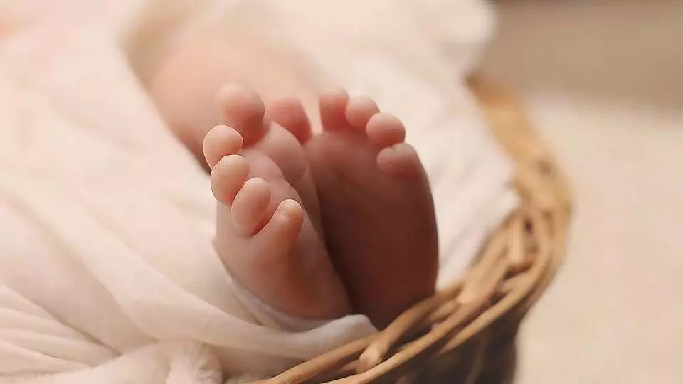 Maharashtra सरकार ने पहली बार सभी क्रेच को एक समान सुरक्षा और निगरानी मानदंडों के अंतर्गत लाया Maharashtra सरकार ने पहली बार सभी क्रेच को एक समान सुरक्षा और निगरानी मानदंडों के अंतर्गत लाया