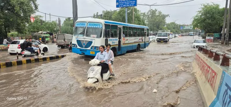 Sirsa में मानसून की दस्तक सड़कों पर पानी भरा, किसानों ने ली राहत की सांस Sirsa में मानसून की दस्तक सड़कों पर पानी भरा, किसानों ने ली राहत की सांस