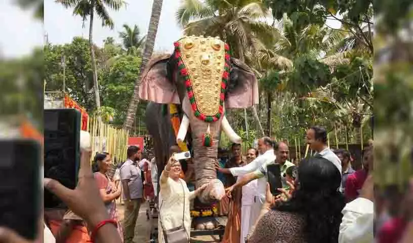 Hyderabad में बोनालु समारोह के लिए तुमकुर से श्री करिबासवा स्वामी मठ का हाथी Hyderabad में बोनालु समारोह के लिए तुमकुर से श्री करिबासवा स्वामी मठ का हाथी