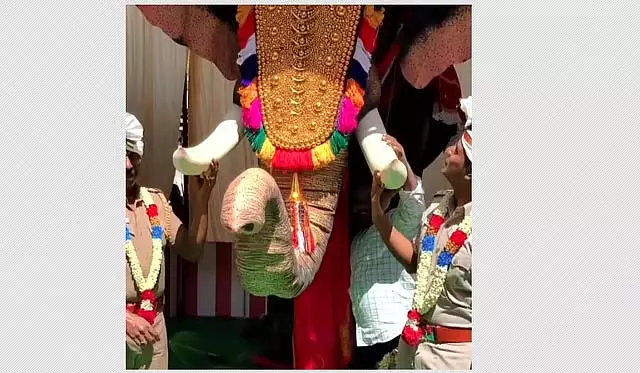 अभिनेत्री तृषा ने अरुप्पुकोट्टई विनयगर मंदिर को एक यांत्रिक हाथी दान किया अभिनेत्री तृषा ने अरुप्पुकोट्टई विनयगर मंदिर को एक यांत्रिक हाथी दान किया
