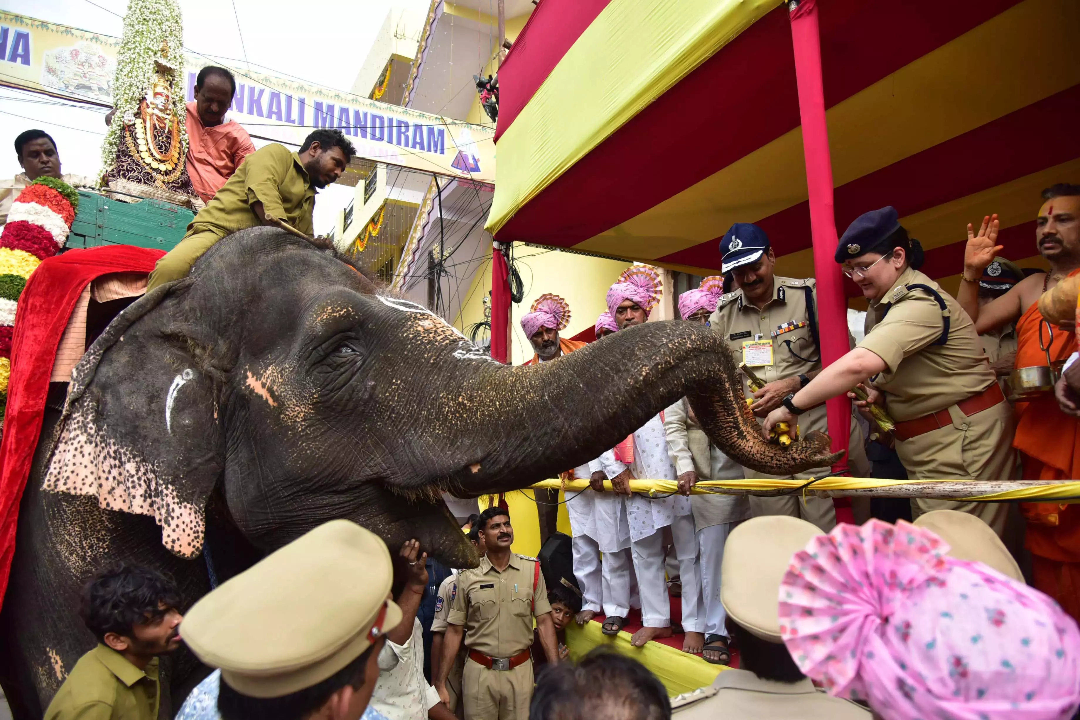 Telangana: रूपवती के बाद, कर्नाटक मठ की हथिनी लक्ष्मी बोनालू समारोह की शोभा बढ़ाएगी Telangana: रूपवती के बाद, कर्नाटक मठ की हथिनी लक्ष्मी बोनालू समारोह की शोभा बढ़ाएगी