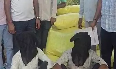 Fatehabad: नशे का जखीरा खेत में दबा, पुलिस ने पकड़ा 80 लाख का गांजा Fatehabad: नशे का जखीरा खेत में दबा, पुलिस ने पकड़ा 80 लाख का गांजा
