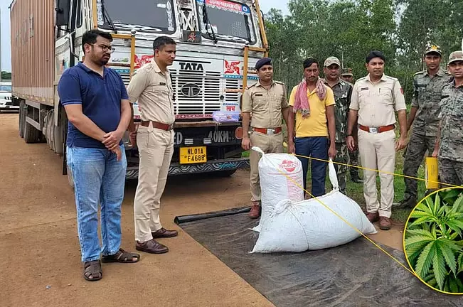 तस्करी से पहले राष्ट्रीय राजमार्ग से मारिजुआना बरामद तस्करी से पहले राष्ट्रीय राजमार्ग से मारिजुआना बरामद