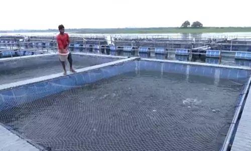 झारखंड : तिलैया जलाशय में मछली पालन बना रोजगार का नया जरिया
