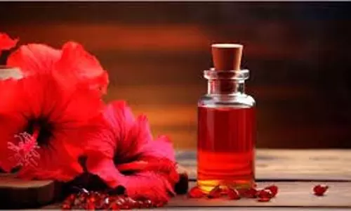 How To Make Hibiscus Oil For Hair: गुड़हल के फूलों से ऐसे तैयार करें तेल, बालों का झड़ना और सफेद होना होगा कम How To Make Hibiscus Oil For Hair: गुड़हल के फूलों से ऐसे तैयार करें तेल, बालों का झड़ना और सफेद होना होगा कम