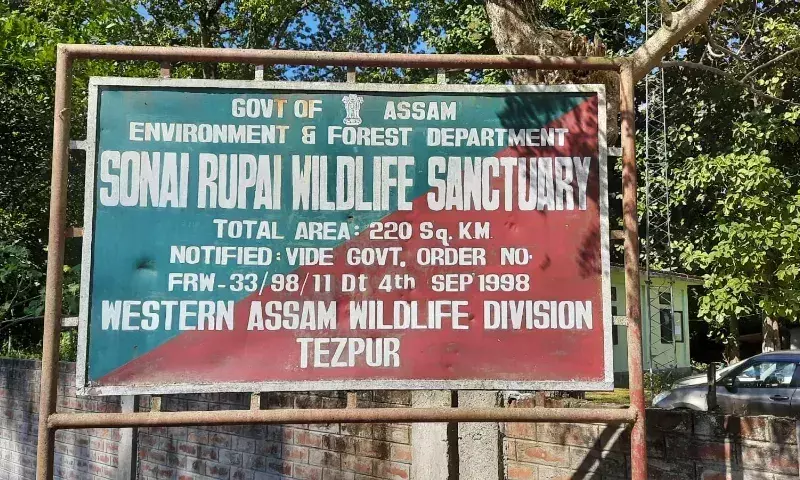 Assam में अतिक्रमित जंगलों को बीटीआर में शामिल करने पर बढ़ा विवाद Assam में अतिक्रमित जंगलों को बीटीआर में शामिल करने पर बढ़ा विवाद