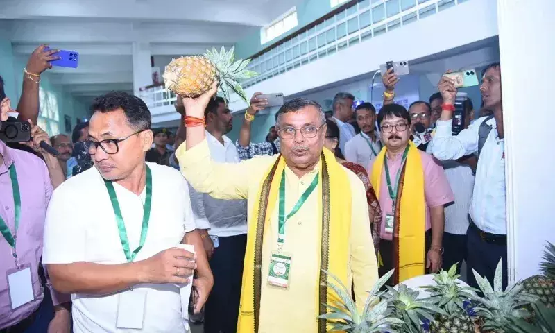 Tripura में अनानास बना किसानों की कमाई का नया जरिया, मुनाफा तीन गुना Tripura में अनानास बना किसानों की कमाई का नया जरिया, मुनाफा तीन गुना