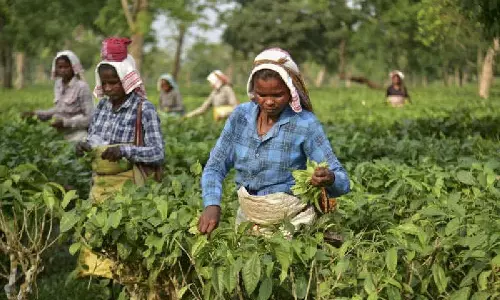 INTTUC ने चाय श्रमिकों के प्रति कथित उदासीनता के लिए केंद्र के खिलाफ रैली निकाली