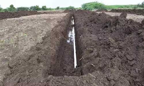 Bagalkot : बंजर भूमि को पुनर्जीवित करने का एक प्रयास
