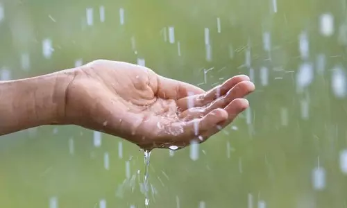Haryana :  बारिश से धान किसानों के चेहरे खिले