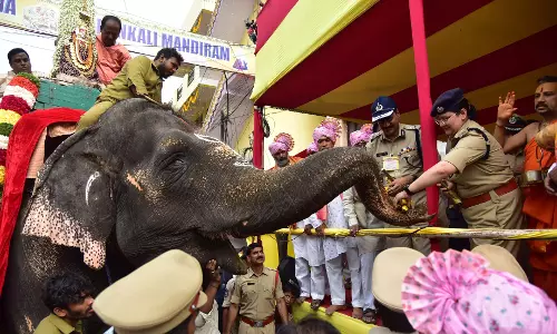 Telangana: रूपवती के बाद, कर्नाटक मठ की हथिनी लक्ष्मी बोनालू समारोह की शोभा बढ़ाएगी Telangana: रूपवती के बाद, कर्नाटक मठ की हथिनी लक्ष्मी बोनालू समारोह की शोभा बढ़ाएगी