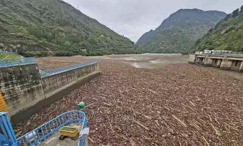 Pandoh dam जलाशय में तैरती हुई जंगल की लकड़ी की वायरल तस्वीरों से बहस छिड़ गई Pandoh dam जलाशय में तैरती हुई जंगल की लकड़ी की वायरल तस्वीरों से बहस छिड़ गई