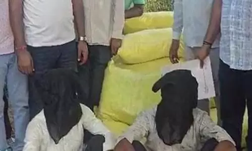 Fatehabad: नशे का जखीरा खेत में दबा, पुलिस ने पकड़ा 80 लाख का गांजा Fatehabad: नशे का जखीरा खेत में दबा, पुलिस ने पकड़ा 80 लाख का गांजा