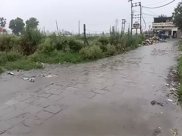 करनाल शहर में बारिश, IMD ने हरियाणा में और बारिश का अनुमान लगाया करनाल शहर में बारिश, IMD ने हरियाणा में और बारिश का अनुमान लगाया