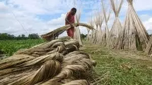 भारत ने स्थल मार्ग से बांग्लादेशी जूट आयात पर प्रतिबंध लगाया भारत ने स्थल मार्ग से बांग्लादेशी जूट आयात पर प्रतिबंध लगाया