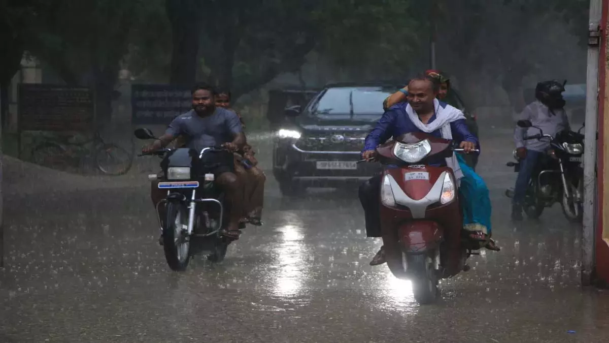 झूम के बरसे बादल, कई इलाकों में भरा पानी, किसानों के चेहरों पर मुस्कान झूम के बरसे बादल, कई इलाकों में भरा पानी, किसानों के चेहरों पर मुस्कान