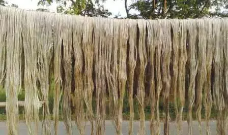 अनुचित व्यापार प्रथाओं के चलते भारत ने बांग्लादेशी जूट आयात पर लगाया प्रतिबंध: अधिकारी अनुचित व्यापार प्रथाओं के चलते भारत ने बांग्लादेशी जूट आयात पर लगाया प्रतिबंध: अधिकारी