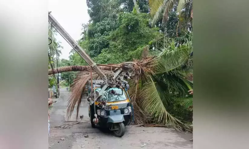 Kerala : ऑटोरिक्शा के सामने एक बिजली का खंभा गिर गया Kerala : ऑटोरिक्शा के सामने एक बिजली का खंभा गिर गया